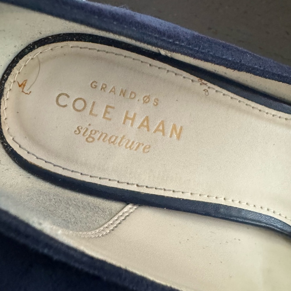 Cole Haan Navy Suede Pointed-Toe Heels - Picture 2 of 6